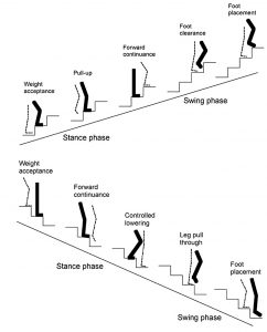 body movements